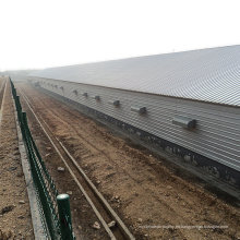 Construcción de Fram de aves de corral de Qingdao China para One Stop Service